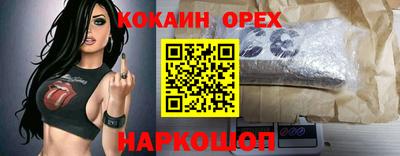 дмт Заводоуковск
