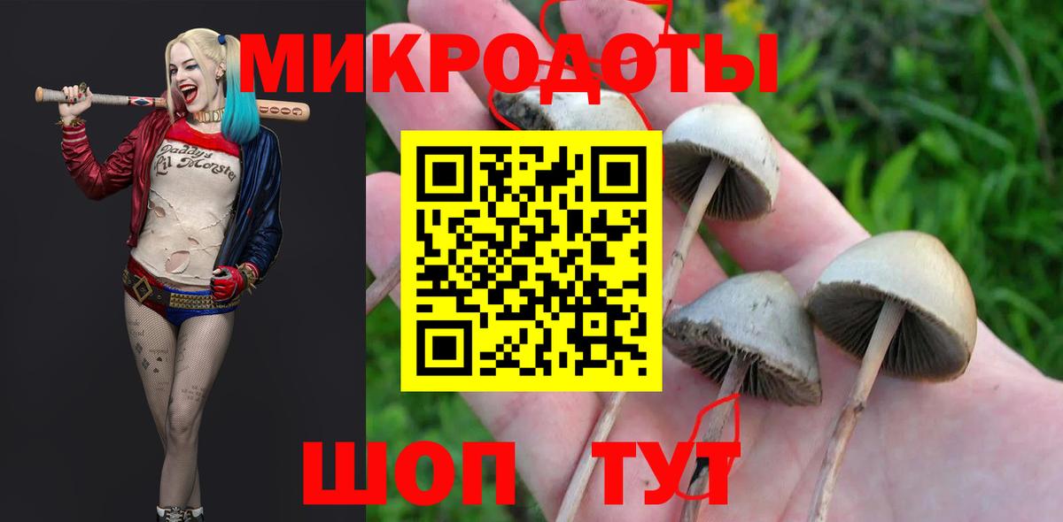 купить  сайты  Вход с VPN  Мичуринск  Галлюциногенные грибы мицелий 
